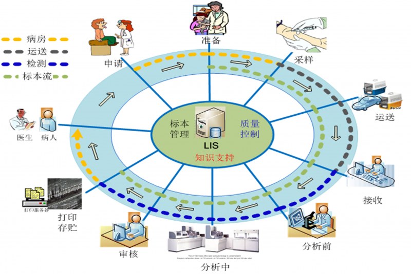 开云(中国)LIS系统